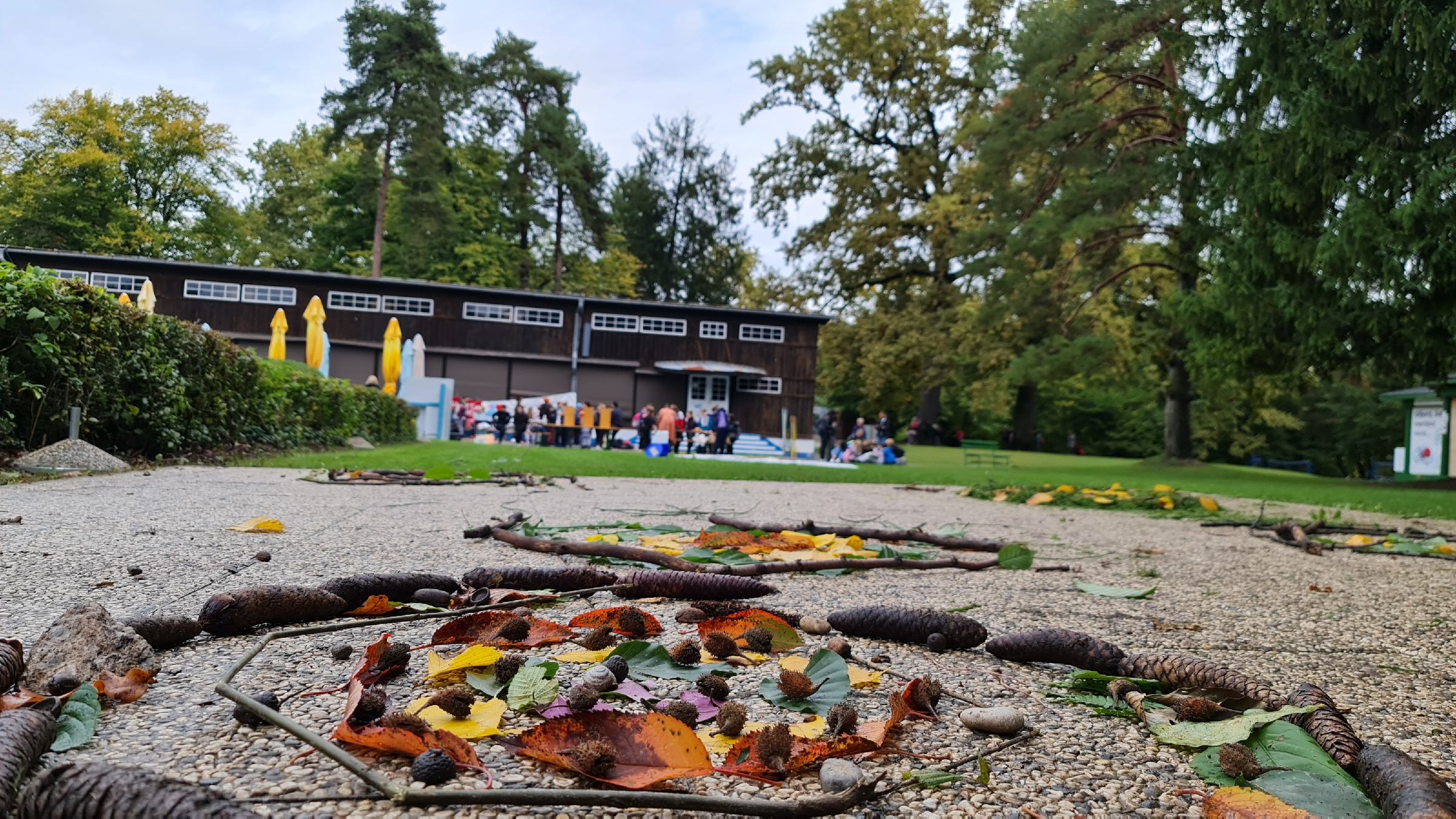 Učilnica v naravi – Dan na Mariborskem otoku